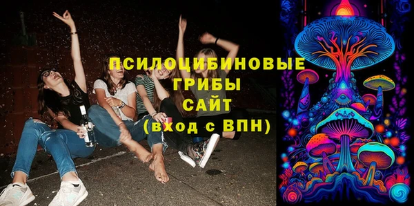 крисы Алзамай