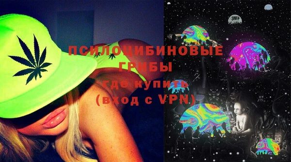 крисы Алзамай