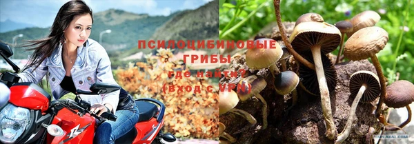 дурь Алексеевка