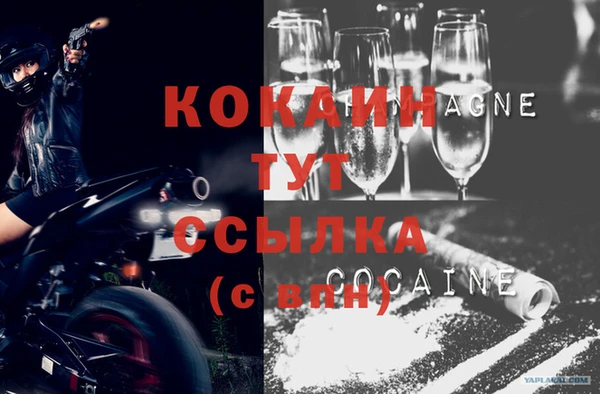 крисы Алзамай