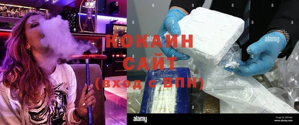 крисы Алзамай