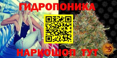метадон Гай