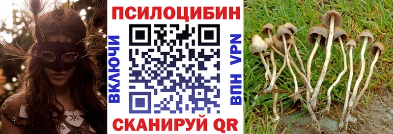 Галлюциногенные грибы GOLDEN TEACHER  Нижний Новгород 