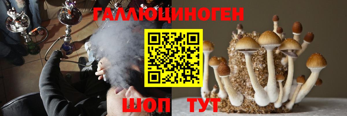 где купить наркоту  Галлюциногенные грибы Psilocybine cubensis  Нижний Новгород  Вход с VPN  Галлюциногенные грибы мицелий 