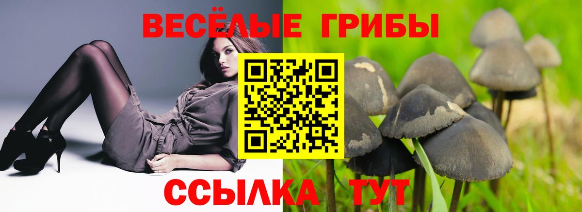 Псилоцибиновые грибы ЛСД Нижний Новгород