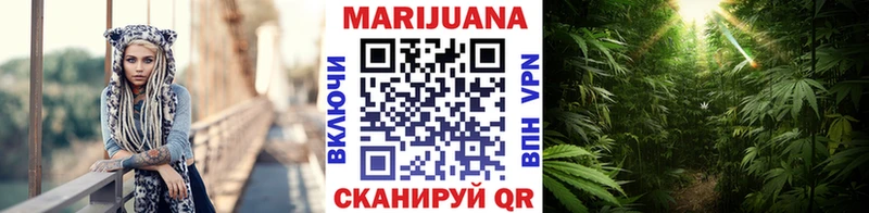 продажа наркотиков Нижний Новгород Конопля SATIVA & INDICA